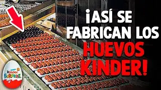 ¿Cómo Se Hacen Los Huevos Kinder? [Proceso En Fábrica]