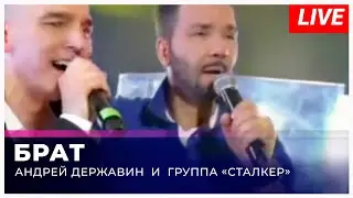 Андрей Державин - Брат (Live "Большая рыба")