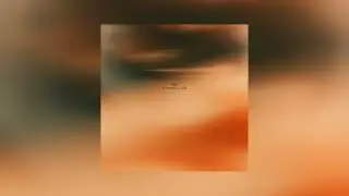 Avi Snow, MVCA & ZEEBA - Feel