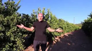 The One Thing I Wish Everyone Knew Before Starting a Farm Business