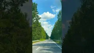 8 июля 2024 г.