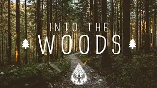 Into The Woods 🌲 - A Mysterious Folk/Pop Playlist