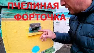 Вентиляция через верхний леток. Мой опыт