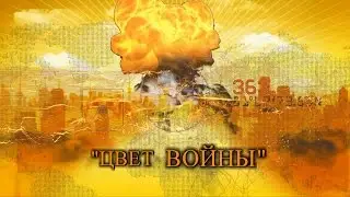 ЦВЕТ ВОЙНЫ - автор-исполнитель   Александра ТААН. Видеомонтаж - А.Травин