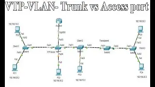 Network Ports - VLANs Trunk Port vs Access Ports.