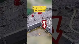 لو لم يتم تصوريها لما صدقها احد #معلومة_لعقلك #اكسبلور #shorts