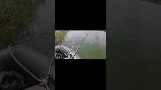 Вот как бывает  