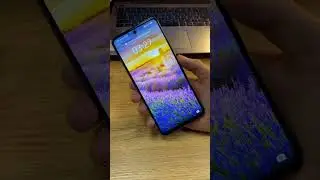 Обзор Смартфон Honor 10X Lite
