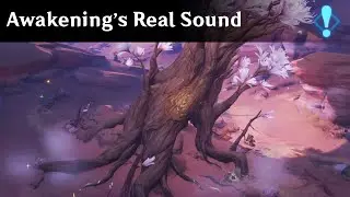 World Quest - Awakening's Real Sound | Genshin Impact
