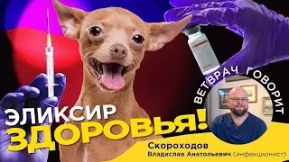 Эликсир здоровья для кошек и собак