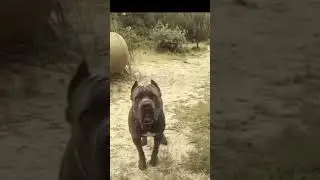 Que harían en esos momentos?