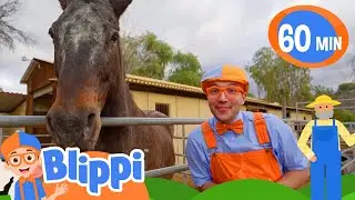 Horsing Around | Fun with Blippi! | Blippi Educational Songs for Kids