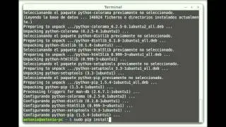Install pip and Django // Ubuntu - Linux Mint // Instalar pip y Django