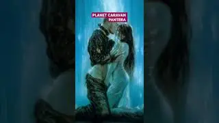 Pantera Planet Caravan