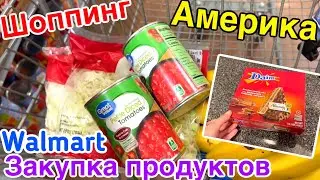 США Закупка продуктов в Walmart Готовлю борщ Сюрприз от зрителей Гаджеты в нашей семье Большая семья