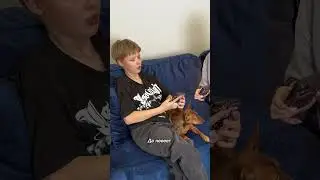 Мошенники 