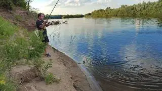 Первый раз приехал на рыбалку в Астрахань. Река Ахтуба 2024.