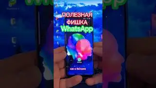 Полезная фишка WhatsApp