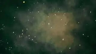Hd background video free download | invitation background