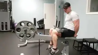 Seated Calf Raise - DC FIT