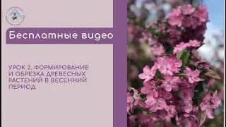 Формирование и обрезка древесных растений в весенний период