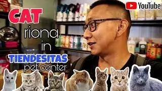 Best Pet Shop In the Philippines 🇵🇭 | Tiendesitas Pet Shop 🐈 | Tiendesitas Cat Shop 🐈 | Cat Lover ❤