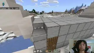 Minecraft Trains 