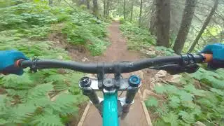 Alyeska Down Hill