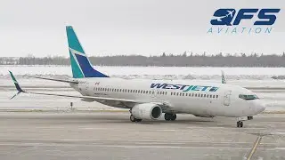 WestJet- 737 800 - Premium Class - Winnipeg (YWG) to Toronto (YYZ) | TRIP REPORT