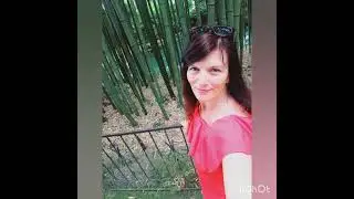 Сочи, прогулка по нижнему парку Дендрария
