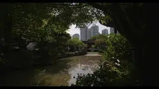 Canon C70 & DZOFilm Vespid 16mm T2.1 in EF | Sample 2