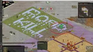 Haven and Hearth - L2 troll baby
