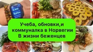 Кто скучал: учеба, подарки и сколько плачу за аренду жилья, свет.