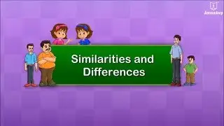 Similarities And Differences In Human Beings | Periwinkle