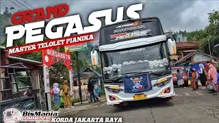 [ MASTER TELOLET PIANIKA !! ] TELOLET BASURI MSM ASYROF GRAND PEGASUS