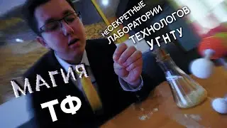 Выпускник пришёл на ТФ. Что было дальше?