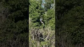 Higher Vibrations in Fiji 🇫🇯 🏝️ 🧗‍♂️