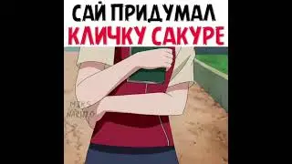 Сай придумал кличку Сакуре 🤣😂