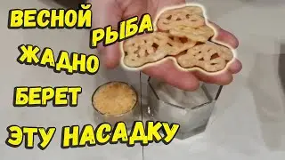 Простейшая насадка для рыбалки весной по холодной воде своими руками