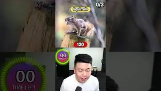 How Much is TOO Much? 2