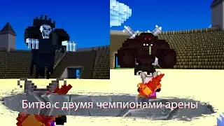 Битва с двумя чемпионами арены в Cube World - Cube World прохождение за мага № 10