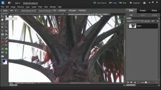 Learn how to remove Chromatic Aberration with Adobe Photoshop Elements 10