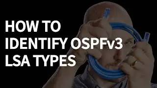 OSPFv2 vs OSPFv3: How They Handle LSAs