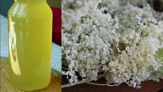 Syrop z kwiatów dzikiego bzu dobry przepis na zdrowie