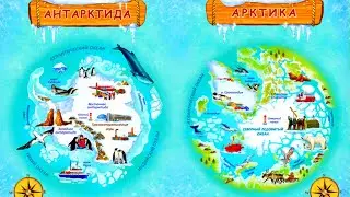 Чем отличается Арктика от Антарктики