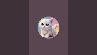 Fun with Anime zoo