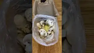 А чтобы не мыть лишнюю посуду, можно всё смешать в пакете👌😉👍
