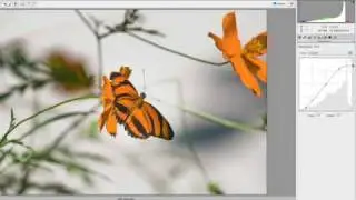 165 Understanding Adobe Photoshop - Recovering Raw Files