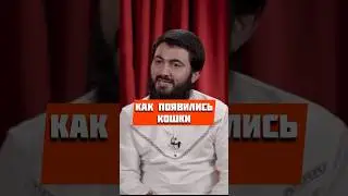 Как появились кошки @yusufberhudar #shorts #shortsvideo #ислам #истина #кошки #история #пророкнух