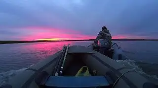 ПОПАЛ   В НАСТОЯЩЕЕ  ЛОГОВО КАРПОВых! Рыбалка на поплавок в камышах.FISHING